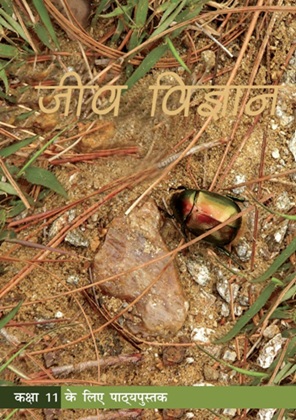 जीव विज्ञान — NCERT कक्षा 11